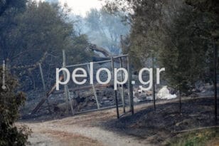 Αιγιάλεια: Σε ύφεση η πυρκαγιά στη Ζήρια - Σε επιφυλακή η Πυροσβεστική