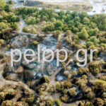 Αιγιάλεια - Φωτιά: Ένας καμένος παράδεισος από ψηλά - Drone αποκαλύπτει την καταστροφή ΒΙΝΤΕΟ