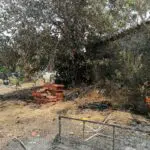Μίλτος Καρατζάς στην «Π» από την Εύβοια: «Ετσι έσωσα το σπίτι μου από τις φλόγες» ΦΩΤΟ