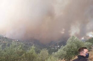 Κομοτηνή: Πυρκαγιά σε δασική έκταση στη Νυμφαία