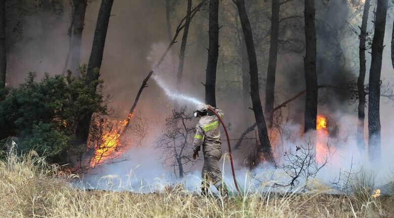Αλιβέρι Ευβοίας: Τέθηκε υπό έλεγχο η πυρκαγιά σε δασική έκταση - Ισχυρές δυνάμεις της Πυροσβεστικής 