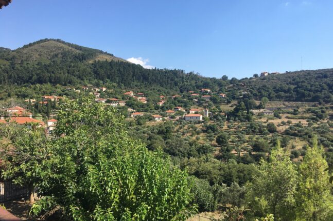 Το χωριό της Πελοποννήσου με τα περισσότερα αιωνόβια δέντρα της Ελληνικής Επανάστασης
