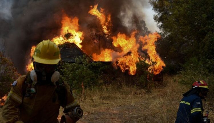 Hλεία: Νέα δασική πυρκαγιά κοντά στην Αμαλιάδα