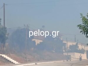 Αχαΐα: Φωτιά στην Άρλα - Για πολλοστή φορά εκδηλώθηκε πυρκαγιά στο ίδιο σημείο εντός οικισμού - ΦΩΤΟ - ΒΙΝΤΕΟ