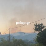 Φωτιά - Ηλεία: Συνεχείς εκκενώσεις οικισμών - Επιχειρούν 310 πυροσβέστες - Κλειστή η Τριπόλεως-Πύργου - ΦΩΤΟ και ΒΙΝΤΕΟ - ΝΕΟΤΕΡΑ