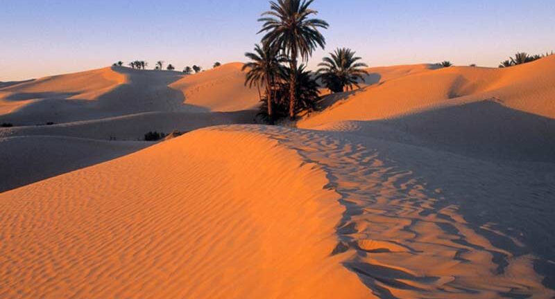 Τυνησία: Έξι μετανάστες βρέθηκαν νεκροί από δίψα στην έρημο