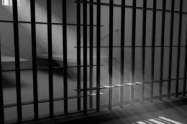 Δημήτρης Λιγνάδης: ΕΔΕ και απολύσεις στις φυλακές Κορυδαλλού μετά «το πάρτι στο κελί του»