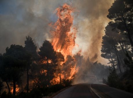 Φωτιά στη Λίμνη Ευβοίας: «Θα καούν όλα τα σπίτια, ελάτε τώρα» ΒΙΝΤΕΟ