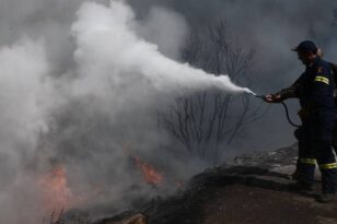 Φωτιά στην Ηλεία: Συνεχείς αναζωπυρώσεις - Εκκενώνονται Δούκας και Μηλιές - Πληροφορίες για εγκλωβισμένους δημοσιογράφους – ΒΙΝΤΕΟ - ΝΕΟΤΕΡΑ