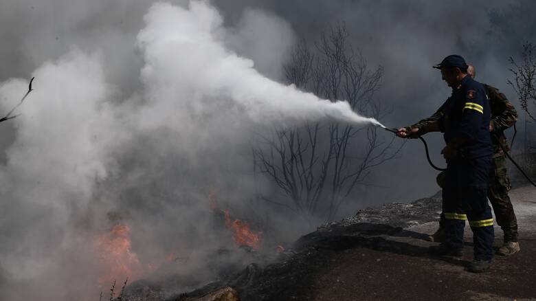 Φωτιά στην Ηλεία: Ανεξέλεγκτη για τρίτη ημέρα η «πύρινη κόλαση» – Ένα μέτωπο πέρασε στην Αρκαδία - Εντολή εκκένωσης για Λούβρο, Άνω Λούβρο Ολυμπίας και Άσπρα Σπίτια ΝΕΟΤΕΡΑ - Vimarsana News