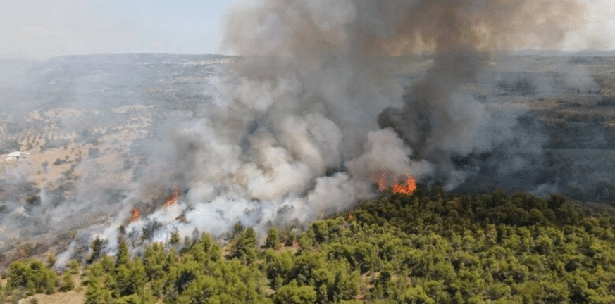 Πυρκαγιά στην Νότια Εύβοια