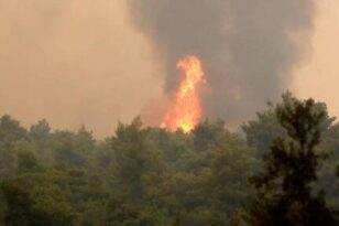 Συνεχίζουν να καίνε οι φωτιές σε Κασσάνδρα και Σιθωνία