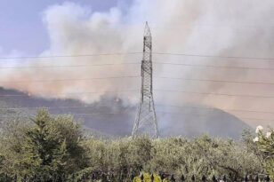 Φωκίδα: Ανεξέλεγκτη η κατάσταση - "Η φωτιά πάει όπου θέλει" λέει ο δήμαρχος Δωρίδας