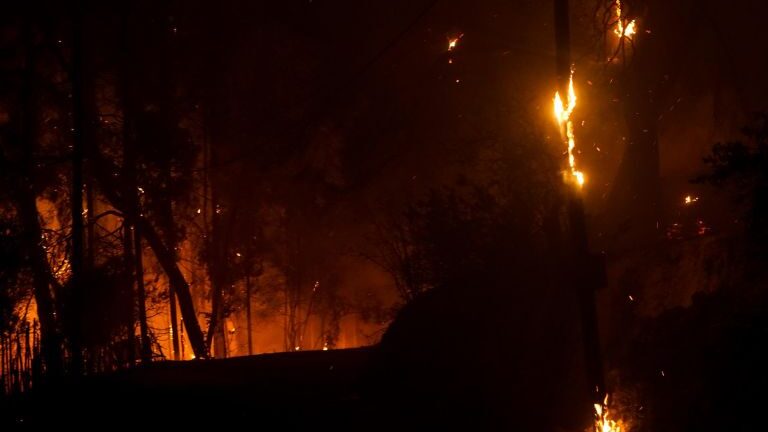 Φωτιές σε Αρκαδία και Ηλεία: Άλλο ένα δύσκολο το βράδυ - Κάηκαν σπίτια στο Πυρρή Γορτυνίας - ΝΕΟΤΕΡΑ