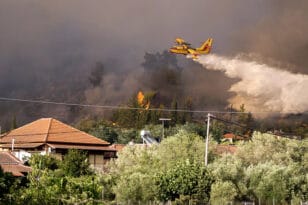 Φωτιά – Ηλεία: Νέες αναζωπυρώσεις - “Μάχη δίχως τέλος” για πυροσβέστες και κατοίκους