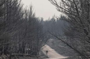 Φωτιά στην Αττική: Σε ύφεση τα μέτωπα στην Αττική - Πνίγεται στον καπνό το λεκανοπέδιο ΝΕΟΤΕΡΑ
