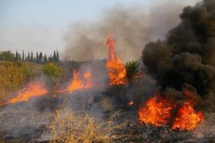 Φωτιά στην Ηλεία: «Έσπασε» το ενιαίο μέτωπο, μάχη με διάσπαρτες εστίες