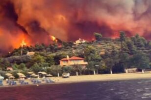 Εύβοια: "Η φωτιά θα φτάσει στη Χαλκίδα και την Ιστιαία, θα καούν και άνθρωποι"