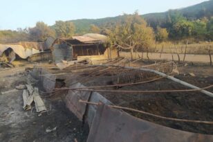 Αιτωλοακαρνανία: Αρχίζει η καταγραφή ζημιών της φωτιάς στο Θύρρειο