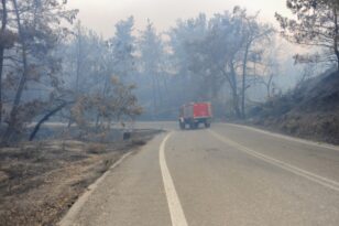 Φωτιά στην Καστανιά Μάνης: Εκκενώθηκαν τρείς οικισμοί - Κάηκαν σπίτια