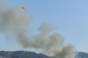 Φωτιά στη Λακωνία: Επιχειρούν και εναέρια μέσα στη Βαρβίτσα