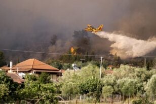 Φωτιές: Μαίνονται τα μέτωπα σε Όλυμπο, Ασπρόπυργο και Ροδόπη, υπό μερικό έλεγχο η πυρκαγιά στην Ξάνθη
