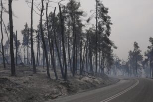 Πυρκαγιές: Κάηκαν 617.000 στρέμματα στον Έβρο και 50.000 στη Φυλή – ΦΩΤΟ από δορυφόρο