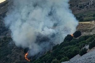 Ηλεία: Δασική πυρκαγιά στο Γούμερο - Επιχειρεί μεγάλη δύναμη της Πυροσβεστικής - ΦΩΤΟ