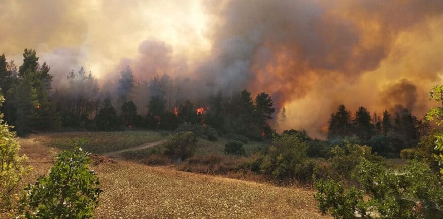 Φωτιά στην Ακραδία: Μάχη με τις αναζωπυρώσεις - Στην είσοδο Νεοχωρίου οι φλόγες