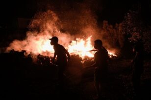 Πυροσβεστική: Συλλήψεις σε Λιβαδειά, Μυτιλήνη και Αττική για εμπρησμούς