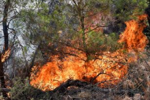 Δυτική Ελλάδα: Υψηλός κίνδυνος για πυρκαγιές και σήμερα - Πού απαγορεύεται η κίνηση στην Ηλεία