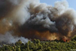 Πυρκαγιές - Τρομακτική πρόβλεψη: «Στο τέλος του αιώνα η νότια Ελλάδα δεν θα έχει δάση»