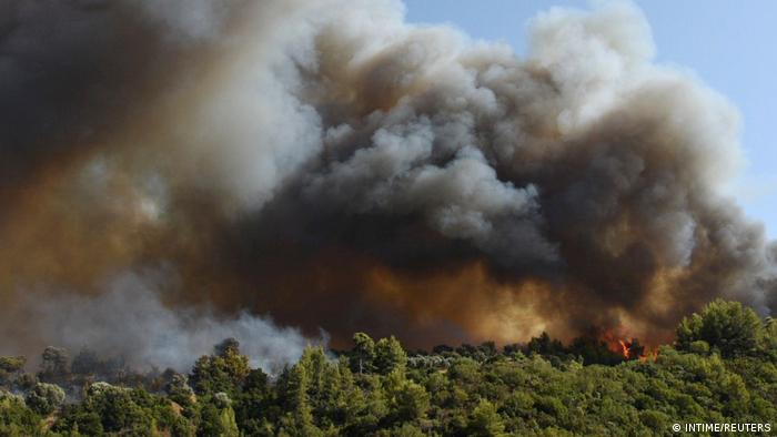 Πυρκαγιές - Τρομακτική πρόβλεψη: «Στο τέλος του αιώνα η νότια Ελλάδα δεν θα έχει δάση»