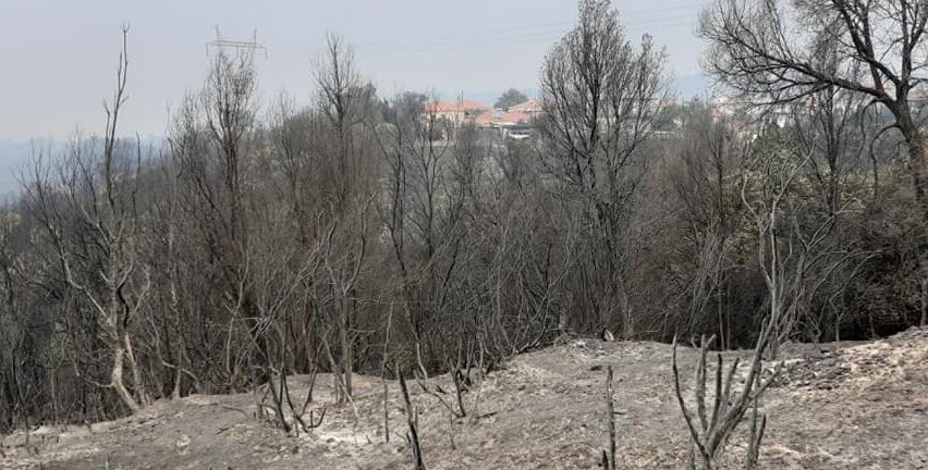 Η Κεντρική Ενωση Επιμελητηρίων Ελλάδας πιέζει για άμεση ανασυγκρότηση στις πυρόπληκτες περιοχές