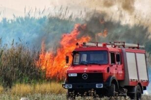 Φωτιά Νότια Εύβοια: Σε εξέλιξη πυρκαγιά στις Πετριές