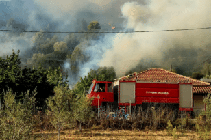 Χαλκιδική: Πυροσβέστες και ελικόπτερο αντιμετωπίζουν πυρκαγιά ΒΙΝΤΕΟ