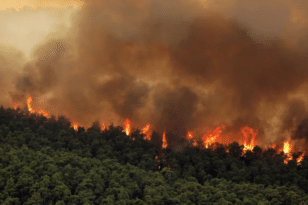 Φωτιά στα Βίλια: Καίει για 5η ημέρα -Πού βρίσκεται το μέτωπο