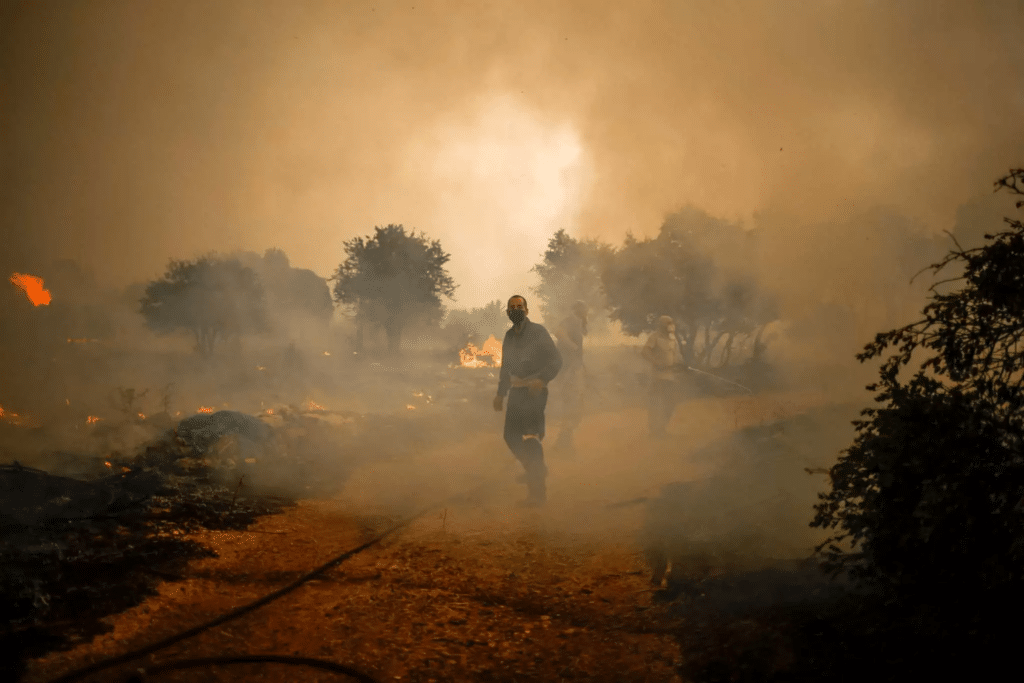 Φωτιά στα Βίλια: Οι φλόγες φτάνουν σε Οινόη και Πανόραμα – Ενισχύθηκαν τα εναέρια μέσα ΝΕΟΤΕΡΑ - Vimarsana News