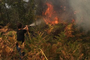 Φωτιά στην Εύβοια: Αναζωπύρωση κοντά στη Γαλατσώνα