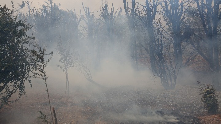 Φωτιά στην Ανατολική Μάνη – Εκκενώνονται Γύθειο και Μαυροβούνι