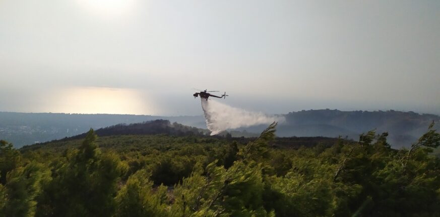 Πυρκαγιά στο Λογγίτσι Φθιώτιδας – Δόθηκε εντολή εκκένωσης του οικισμού