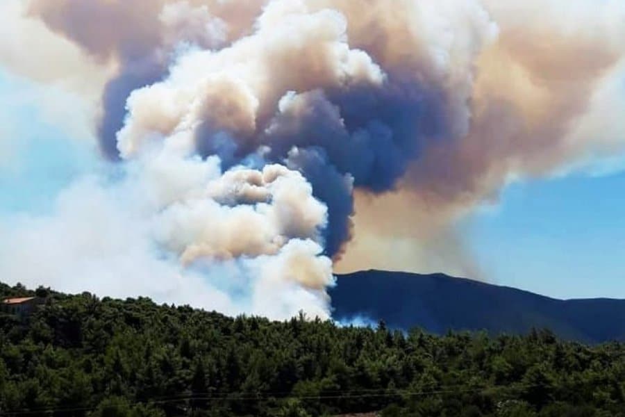 Φωτιά στα Βίλια: Εκκενώνονται δύο ακόμη οικισμοί - Vimarsana News