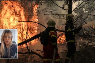 Φωτιές: Ομάδα πατρινών κινητοποιήθηκε για να βοηθήσει τις κοινότητες που επλήγησαν στη Γορτυνία