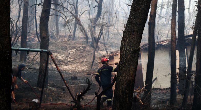 Νέα φωτιά στα Βίλια: Σε ύφεση το πύρινο μέτωπο- Κάηκαν σπίτια - Καταγγελίες εμπρησμού - ΦΩΤΟ και ΒΙΝΤΕΟ