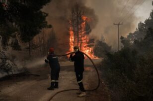 Πυρκαγιές - Γορτυνία: Τεράστια μάχη με τις αναζωπυρώσεις