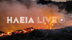 Φωτιά στην Ηλεία – Ολονύχτια μάχη με τις φλόγες - Μήνυμα από το 112 ΝΕΟΤΕΡΑ - ΦΩΤΟ