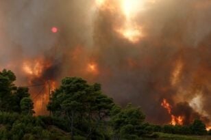 Συνεχίζει να καίει η φωτιά στη Φωκίδα -Απειλούνται χωριά