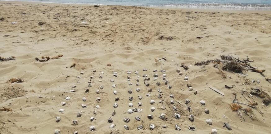 Σημάνσεις για τα χελωνάκια στις παραλίες του Εθνικού Πάρκου Λιμνοθαλασσών Μεσολογγίου - Αιτωλικού