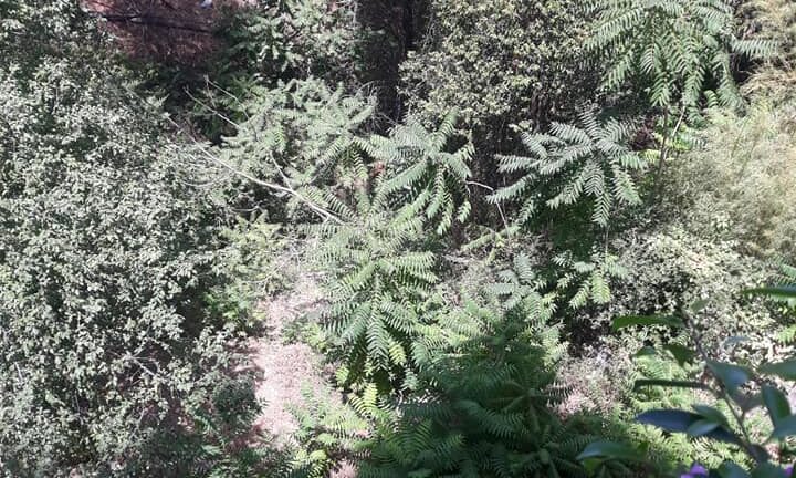 Αίγιο: «Οι καθαριστές... έχουν κορονοϊό» η απάντηση του δήμου για τον καθαρισμό χώρων! ΔΕΙΤΕ ΤΟ ΕΓΓΡΑΦΟ Αίγιο: «Οι καθαριστές... έχουν κορονοϊό» η απάντηση του δήμου για τον καθαρισμό χώρων! ΔΕΙΤΕ ΤΟ ΕΓΓΡΑΦΟ