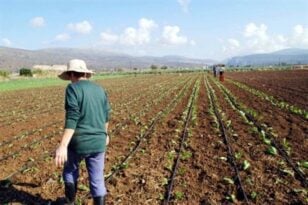 Ξεκίνησε η υποβολή αιτήσεων στήριξης στο υπομέτρο 6.1 «Εγκατάσταση Νέων Γεωργών» του Προγράμματος Αγροτικής Ανάπτυξης